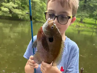 A child wearing glasses holds up a freshly caught fish by a pond, with trees and water in the background.