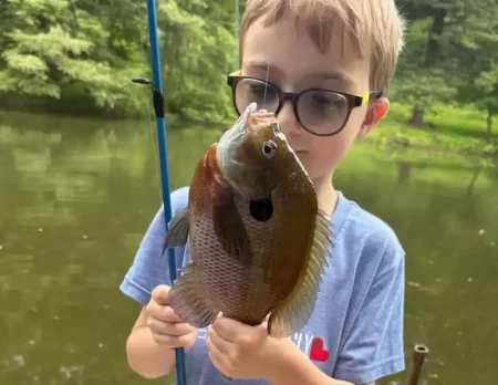 A child wearing glasses holds up a freshly caught fish by a pond, with trees and water in the background.